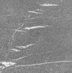 Pietra Grey Marble-Bushhammered & Brushed-Tile