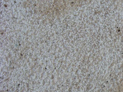 01-Beige Travertine Bush-Hammered