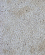 Beige Travertine-Cross Cut-Bush hammered-Tile