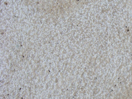 Beige Travertine-Cross Cut-Bush hammered-Tile