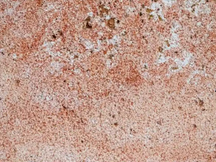 Red Travertine-Cross Cut-Bush hammered