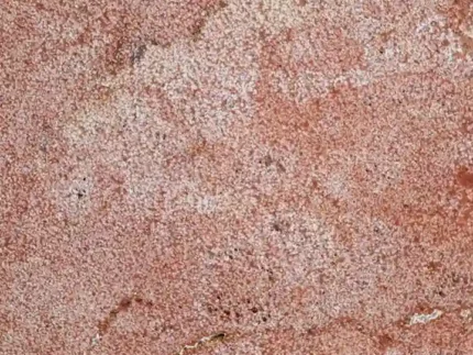 Red Travertine-Cross Cut-Bush hammered-Tile