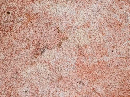 Red Travertine-Cross Cut-Bush hammered