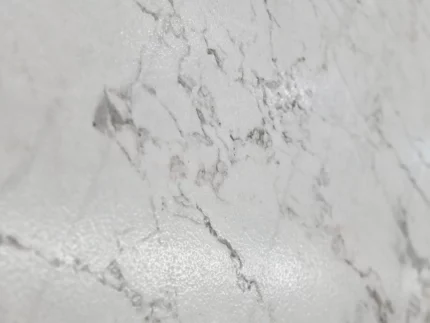 07White Marble-Sandblasted & Brushed-Slab